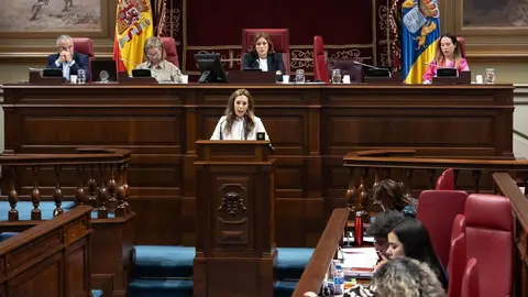Comparecencia Turismo Pleno Parlamento -26 (1)