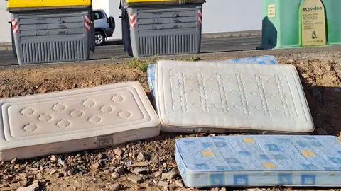 WhatsApp Image 2024-02-20 at 13.46.36