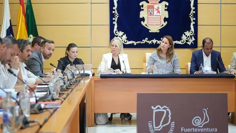 20440223_pleno_cabildo 9