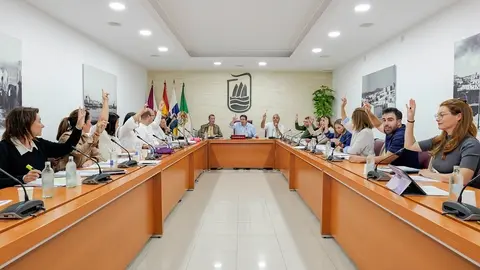 Pleno Ayuntamiento de Puerto del Rosario