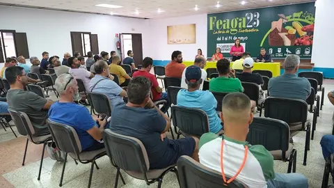alegaciones eolica marina