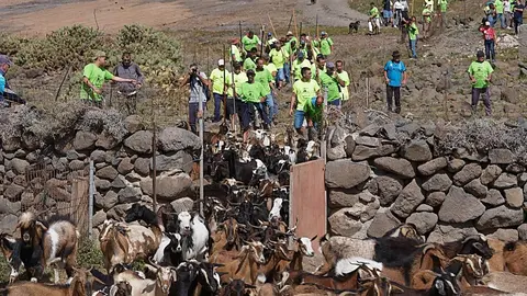 230304_ftv_apañada_mal_mombre 2