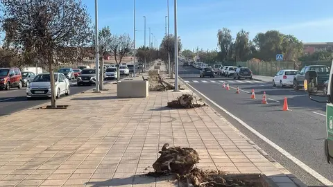 Avenida Diego Miller