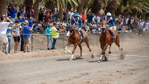 Caballos