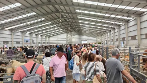 WhatsApp Image 2024-05-19 at 20.57.34