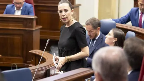 Pleno 036