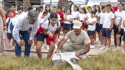 Suelta de ejemplares