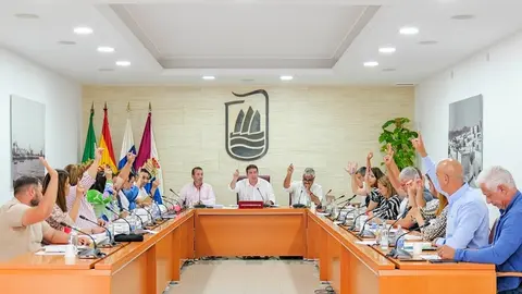 Pleno del Ayuntamiento de Puerto del Rosario