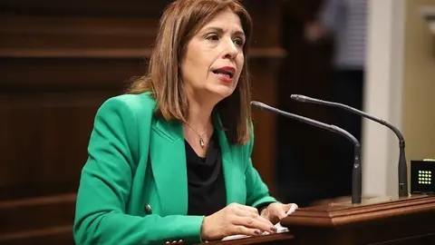 Nueva Canarias parlamento