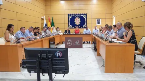 Pleno del Cabildo