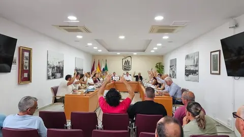 Aprobación licencias taxi PMR
