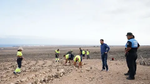 Operarios realizando labores
