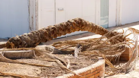 Diseño sin título (2)