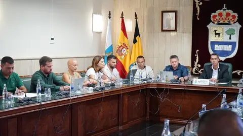Pleno del Ayuntamiento de La Oliva
