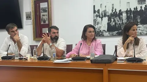 Pleno