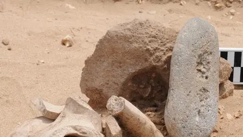 materiaels LObos  (1)