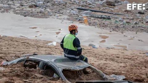 Captura de pantalla 2024-11-04 135325