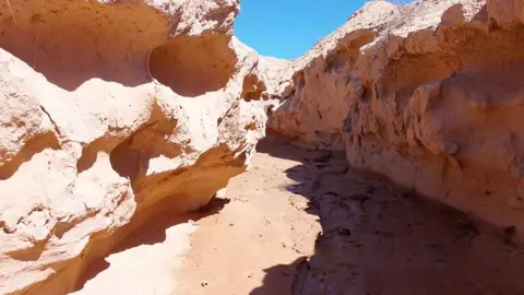 Visit Fuerteventura