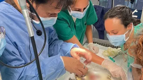 Veterinarios Las Palmas