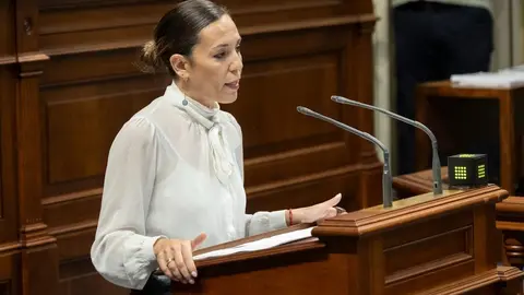 Ley VV Parlamento 140325 (2)