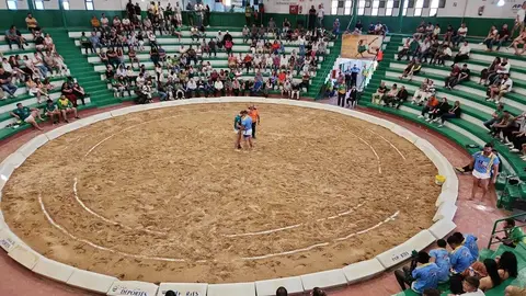 TERRERO DE LUCHA TARAJALEJO