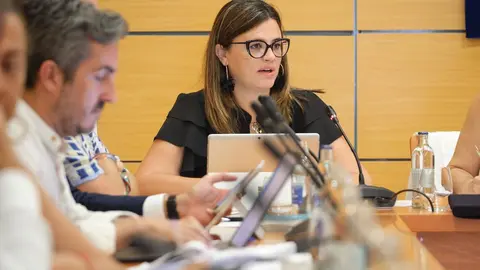 20240906_pleno_cabildo 9 (1)