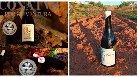 Vinos Conatus y Del Sordo