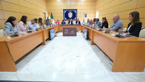 pleno3
