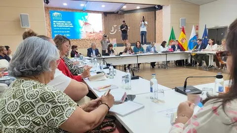 Tercer sector y la comision
