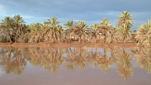 Captura de pantalla 2025-05-20 141333