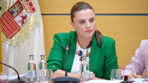 20250523_pleno_cabildo 5