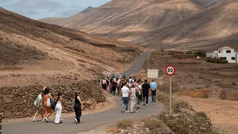 Guisguey semillas