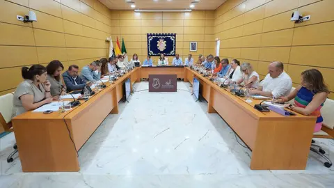 20250725_pleno_cabildo 6