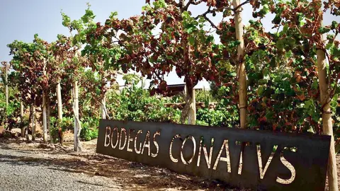 bodegas contavs3