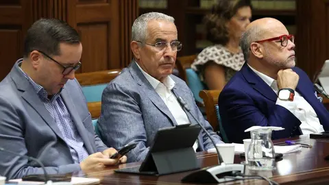 MARIO CABRERA - COMISION ASUNTOS EUROPEOS