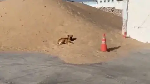ACOPIO DE LA ARENA QUE LLEGÓ A FUERTEVENTURA DESDE EL AIUM