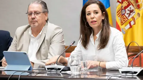 Comisión presupuestos Turismo