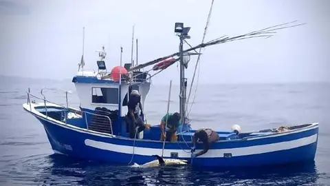 Sector pesquero canario