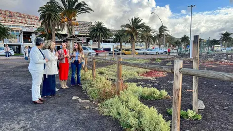 Saladar de Jand&iacute;a 2