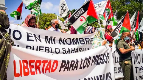 AM CC -sahara libre (1)