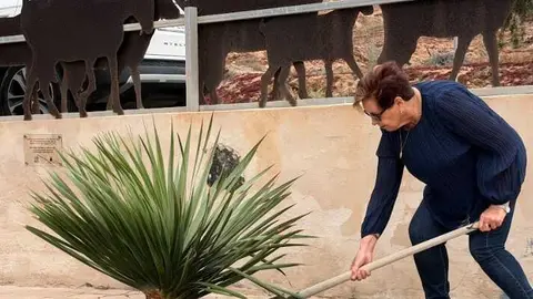 Juliana Planta el drago