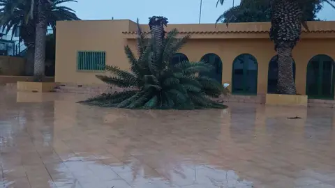 Incidencias de la Borrasca Emilia en Fuerteventura: inundaciones en bajos, cortes de suministro eléctrico y caídas de palmera