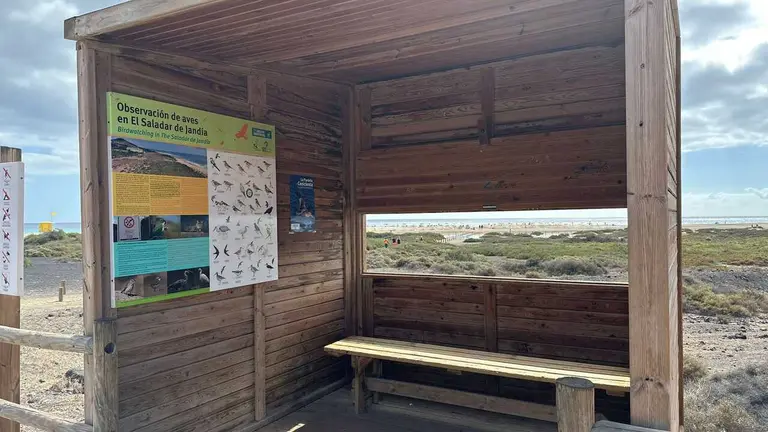 El Saladar de Jandía, zona de vigilancia preventiva de la gripe aviar