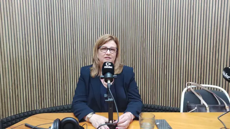 Daniela Plotegher reclama herramientas para competir con la venta online: “Estamos cerrando tiendas”