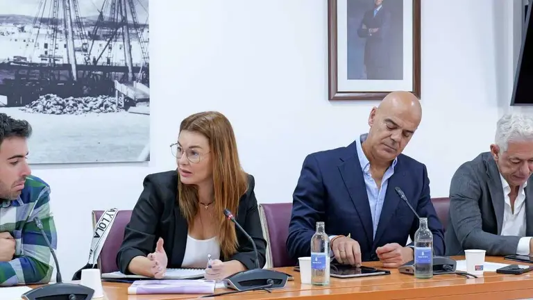 Mayra Marichal cuestiona la tramitación del Plan “Puerto Inclusivo” y el pacto CC-PSOE frena su comisión de investigación