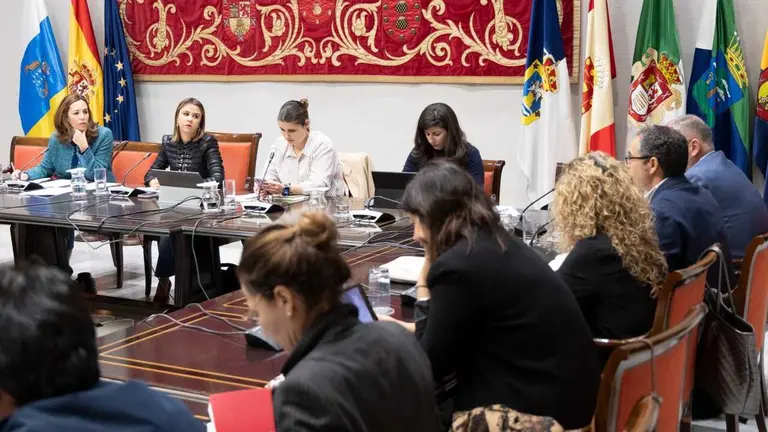 Servicio Canario de Empleo impulsa soluciones para facilitar a los ayuntamientos la contratación de 90 PFAE