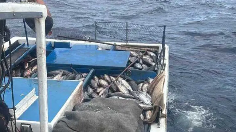 AM-CC Fuerteventura respalda al sector pesquero en su rechazo al pesaje obligatorio a bordo