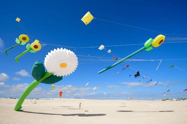 flores