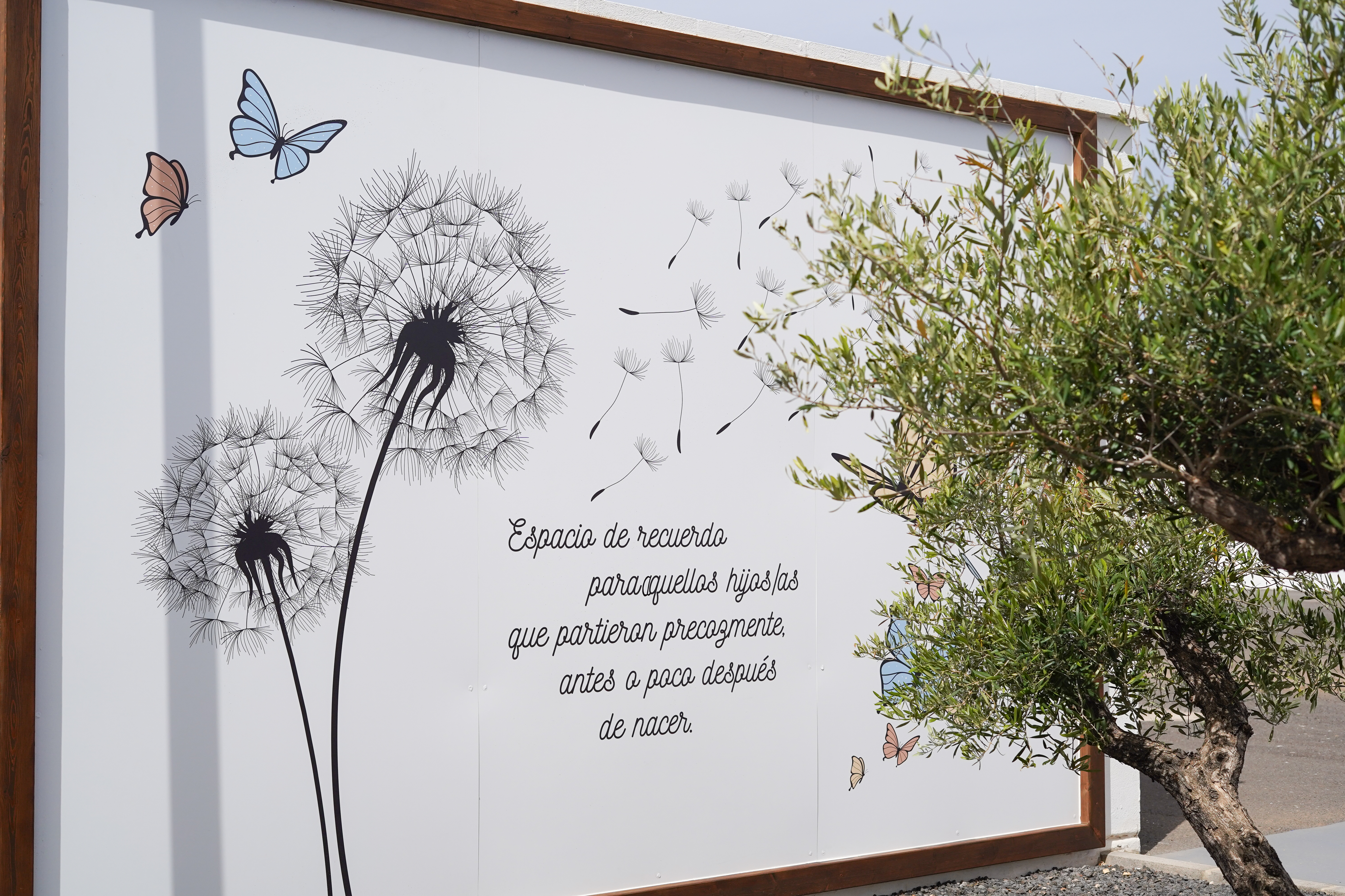 Cementerio La Oliva (9)