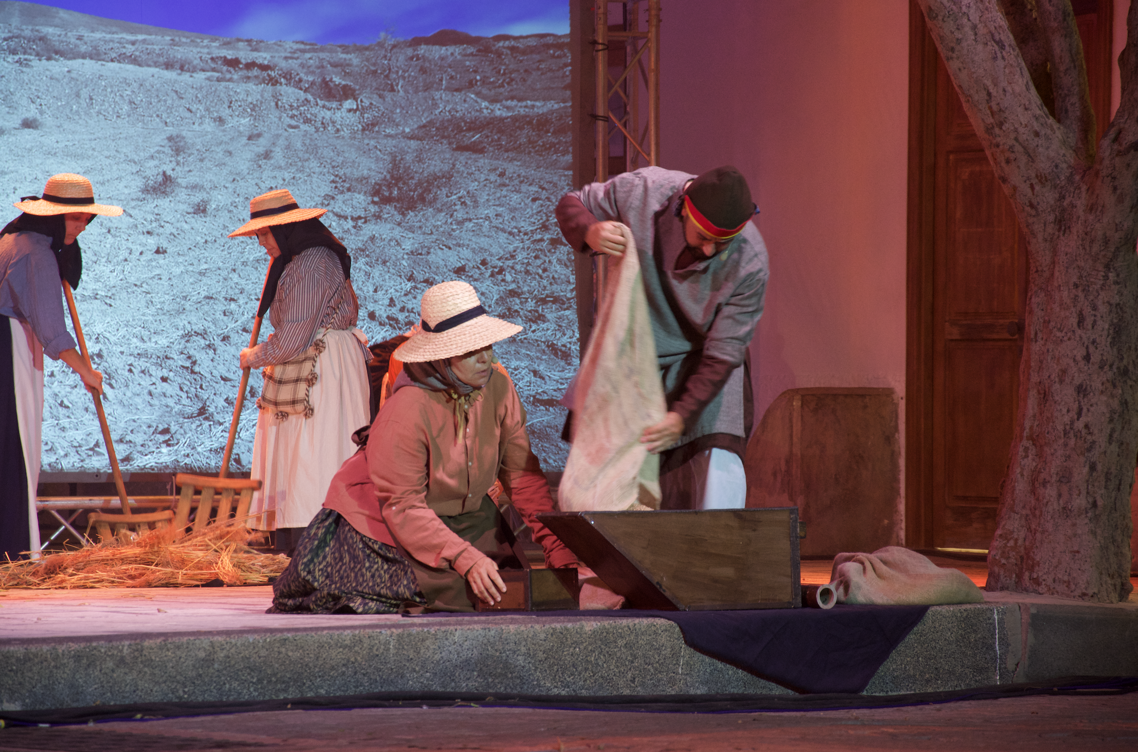 CANTATA 5